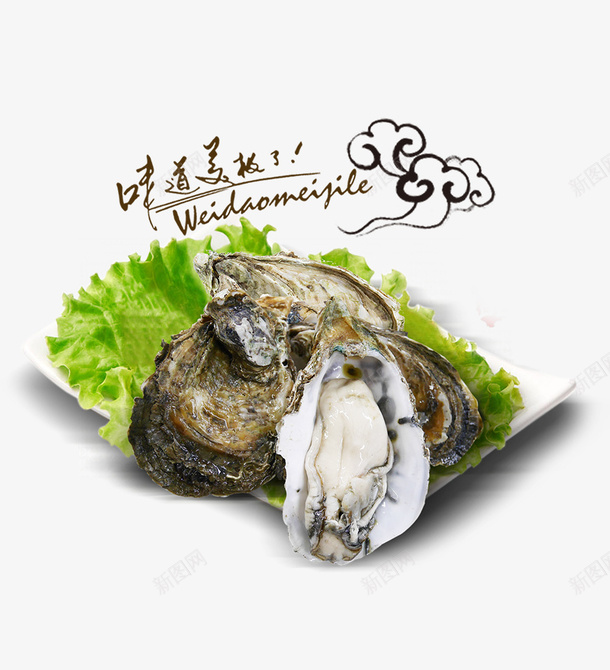 白色盘子里的生蚝png免抠素材_新图网 https://ixintu.com 海鲜 炭烧生蚝图片 白色 盘子里的生蚝 祥云装饰 美食 蔬菜装饰
