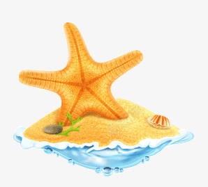 精美海星png免抠素材_新图网 https://ixintu.com 星海草贝壳鹅卵石沙滩大海夏季扇贝
