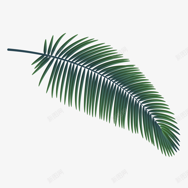 手绘绿色植物树叶矢量图eps免抠素材_新图网 https://ixintu.com png免抠图 创意 卡通 形状 手绘 时尚 棕榈树叶 植物 绿色 矢量图