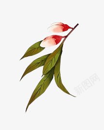 水彩花骨朵绿色叶子png免抠素材_新图网 https://ixintu.com 水彩花骨朵 绿色叶子