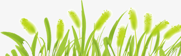 狗尾巴草草丛png免抠素材_新图网 https://ixintu.com 春天 狗尾巴草 狗尾草 绿色 草丛