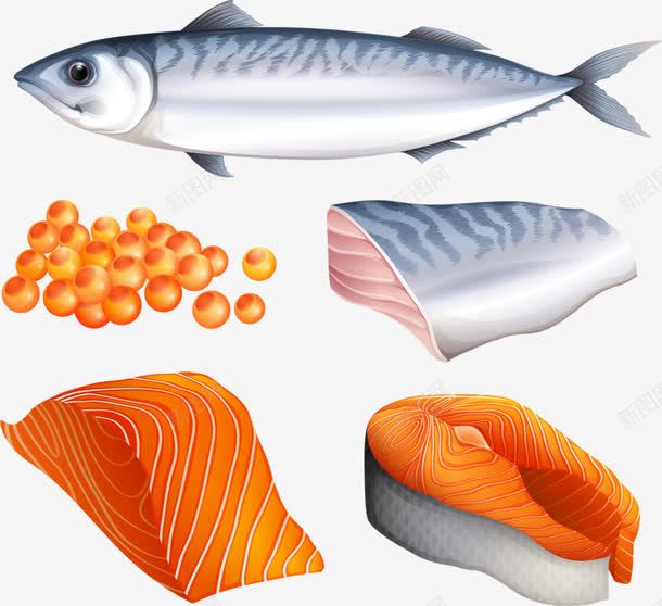 鱼肉png免抠素材_新图网 https://ixintu.com 三文鱼 手绘 整条鱼 日料 水产品 活鱼 海鱼 海鲜 生吃 超市 餐饮 饭店 鱼块 鱼眼 鱼籽 鱼肉 鸡虾鱼肉