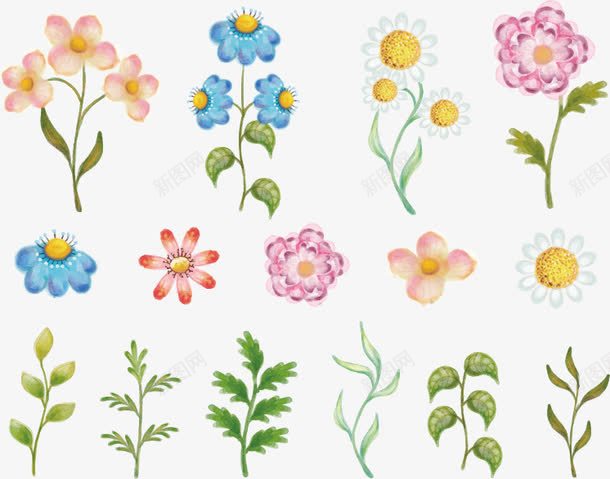 水彩绘花卉和叶子矢量图ai免抠素材_新图网 https://ixintu.com 叶子 水彩 矢量图 花卉 菊花彩绘 菊花科植物 铃兰花 雏菊