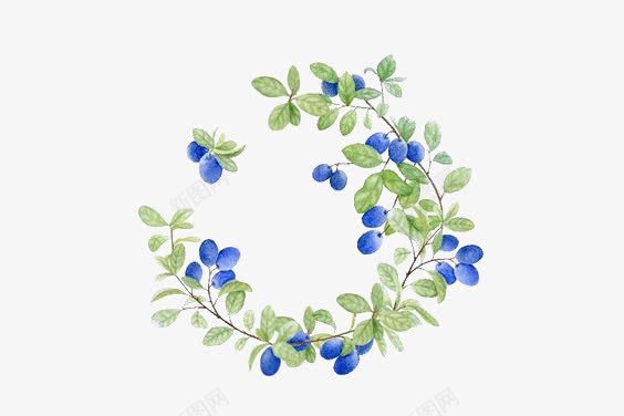 花朵边框png免抠素材_新图网 https://ixintu.com 圆形边框 小清新 手绘蓝莓 文艺 水彩叶片 蓝莓