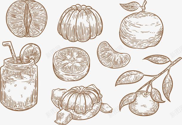 手绘素描柚子水果png免抠素材_新图网 https://ixintu.com 卡通柚子 卡通水果 手绘柚子 柚子 柚子卡通 柚子汁 柠檬 橙子 水果