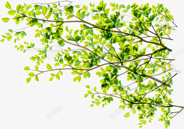 绿色植物数字png免抠素材_新图网 https://ixintu.com 免抠PNG 数字 植物 清新 绿色 美丽 自然