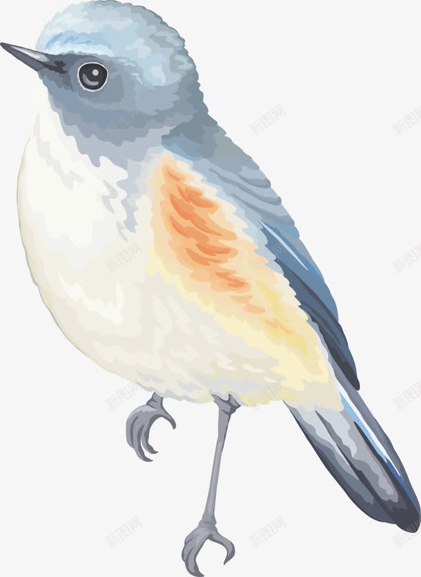 动物小鸟png免抠素材_新图网 https://ixintu.com 动物 小鸟 春 春天 春天小清晰 春天植物 春天装饰