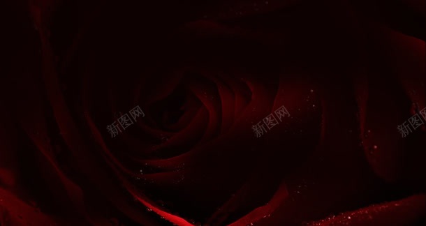 黑红炫酷花纹电商jpg设计背景_新图网 https://ixintu.com 花纹 黑红