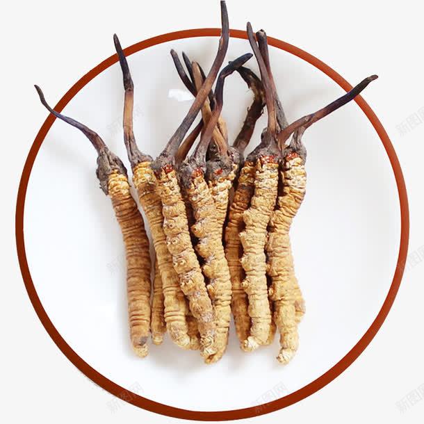 药材冬虫夏草虫草png免抠素材_新图网 https://ixintu.com 中华人民共和国西藏自治区 中国西藏 中药 中药材 产品实物 北虫草 断草 新草 纯天然 西藏那曲 道地虫草 野生