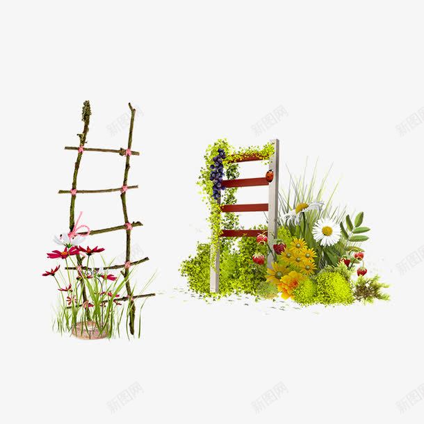 梯子花框png免抠素材_新图网 https://ixintu.com 叶子 春 树叶 梯子 梯子花框 植物 绿叶 绿色 自然 花朵 花草 草丛 草地 野花