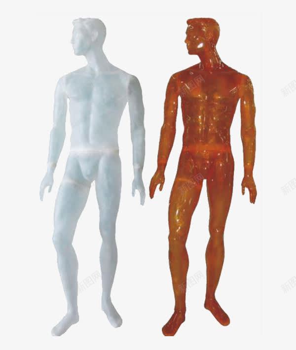 帅气的男人png免抠素材_新图网 https://ixintu.com 假人模特 卡通 帅气的 强壮的 手绘 棕色的 男人 白色的