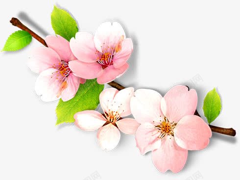 桃花主题古典茶道png免抠素材_新图网 https://ixintu.com 主题 古典 桃花 素材 茶道