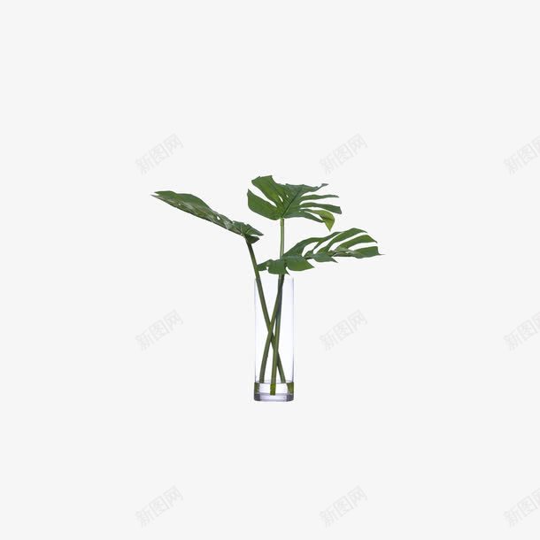 欧美流行插花绿植物鲜花软装png免抠素材_新图网 https://ixintu.com 大气 概念方案装饰 欧美软装设计方案素材 玻璃瓶 精美 精致 美化艺术 软装 软装设计 软装配饰 高品质 高精度 高质量
