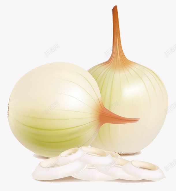 常用配料蔬菜png免抠素材_新图网 https://ixintu.com 一捆 免费蔬菜EPS矢量素材下载 大葱 大蒜 常用配料蔬菜 常用配料蔬菜矢量素材 洋葱 辣椒 配菜图片素材