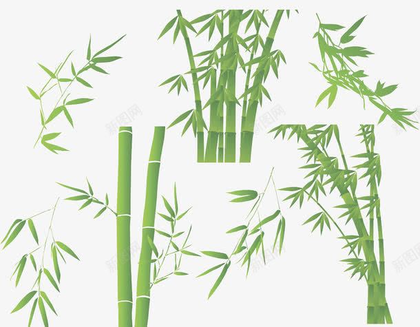 竹叶素描竹叶图标png_新图网 https://ixintu.com 卡通 手绘竹子 竹叶 竹叶图案 竹子图标 竹子图片素材 竹枝 竹节 绿色 装饰