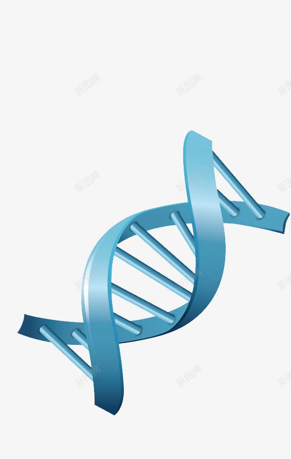 蓝色卡通DNA结构图png免抠素材_新图网 https://ixintu.com DNA分子图 DNA结构图 免抠图 抠图 插画 装饰画