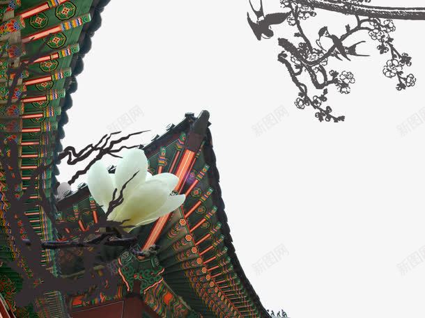 屋檐下的白玉兰png免抠素材_新图网 https://ixintu.com 复古建筑 屋檐下 房顶 玉兰花 白玉兰 飞檐