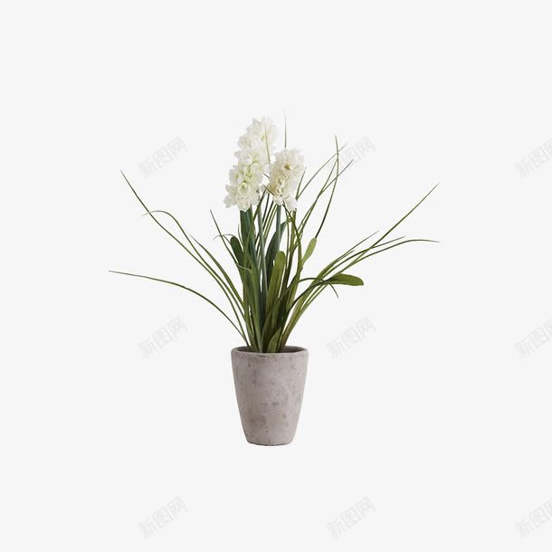 欧美流行插花绿植物鲜花软装png免抠素材_新图网 https://ixintu.com 大气 概念方案装饰 欧美软装设计方案素材 精美 精致 美化艺术 软装 软装设计 软装配饰 高品质 高精度 高质量