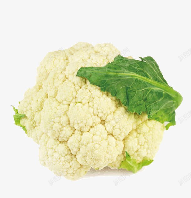 花菜png免抠素材_新图网 https://ixintu.com 有机蔬菜 花菜 蔬菜 食物