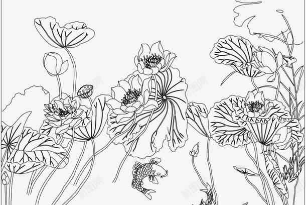 手绘国画白描png免抠素材_新图网 https://ixintu.com 白描线稿 花 荷花 荷花儿 莲花 莲花画稿图片素材 莲花线稿 装饰画莲花