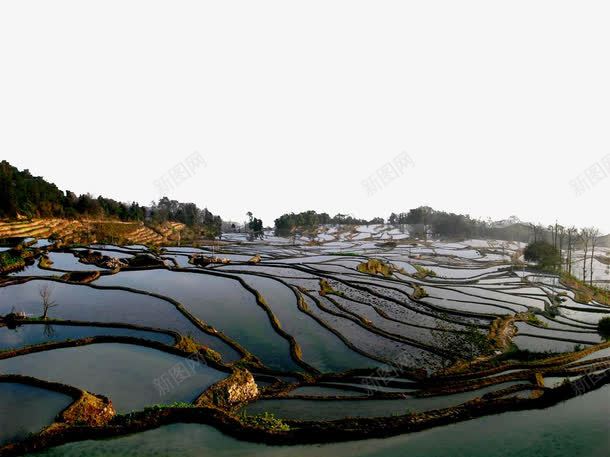 云南元阳梯田png免抠素材_新图网 https://ixintu.com 云南 元阳梯田 名胜古迹 地方景点 实物图 摄影图 梯田 田园风光 自然景观 高清图片