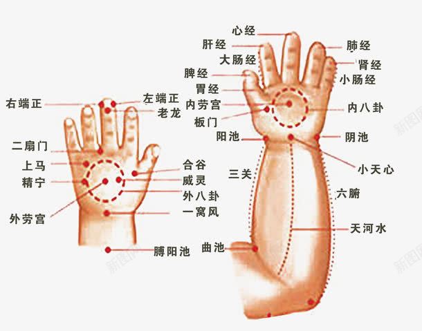小儿手部推拿png免抠素材_新图网 https://ixintu.com 人体 人体穴位 小儿 手部 推拿