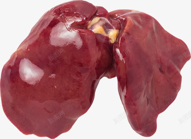 动物肝脏png免抠素材_新图网 https://ixintu.com 矢量装饰 肉 肝脏 装饰 食物 鲜肉
