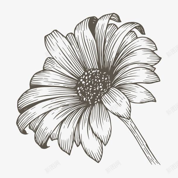 素描花朵png免抠素材_新图网 https://ixintu.com 一支 卡通 手绘 桔梗 简图 花朵 花蕊 黑色