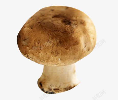 新鲜食品大球盖菇png免抠素材_新图网 https://ixintu.com 伞菌目 斐氏假黑伞 皱环球盖菇 酒红色球盖菇