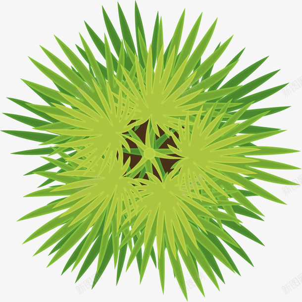 尖锐绿色植物俯视图png免抠素材_新图网 https://ixintu.com 卡通风格 尖锐 尖锐物体 扁平风格 植物俯视图 绿色 绿色平面