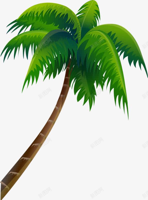 海南椰树png免抠素材_新图网 https://ixintu.com 手绘 植物 椰果 椰树 绿色