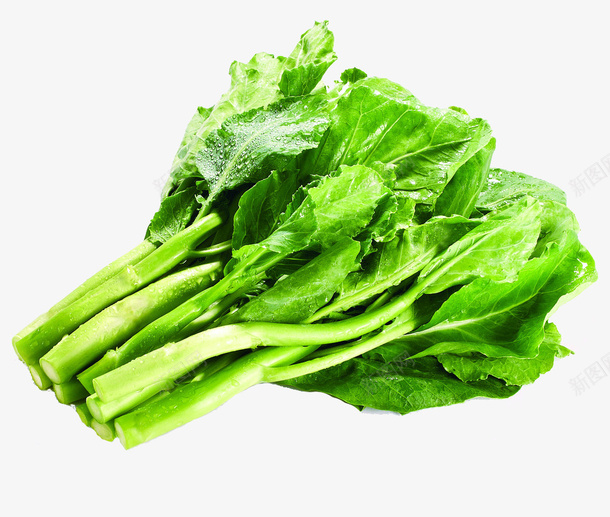 绿色蔬菜芥兰png免抠素材_新图网 https://ixintu.com 十字花科 清甜 脆嫩 草本植物