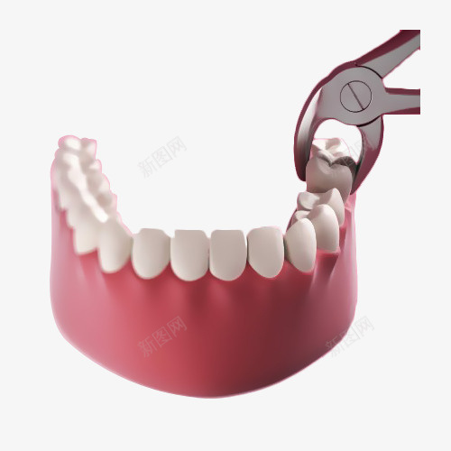 卡通立体拔牙模具png免抠素材_新图网 https://ixintu.com 假牙 卡通 拔牙 智齿 模具 牙医 牙科 牙齿 立体