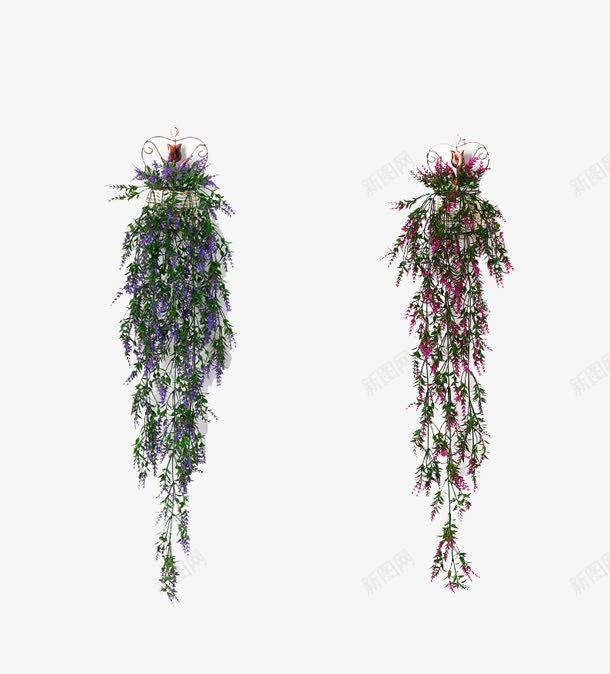 麦芽壁挂png免抠素材_新图网 https://ixintu.com 仿真塑料花束 吊篮花 家庭装修 绿色环保 装饰美化 麦芽壁挂