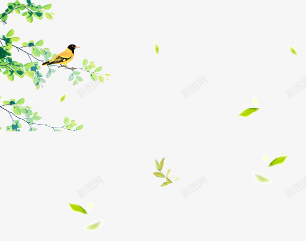 手绘树梢上的黄鹂psd免抠素材_新图网 https://ixintu.com 手绘树梢上的黄鹂 手绘树梢上的黄鹂设计 树梢上的黄鹂 树梢上的黄鹂设计