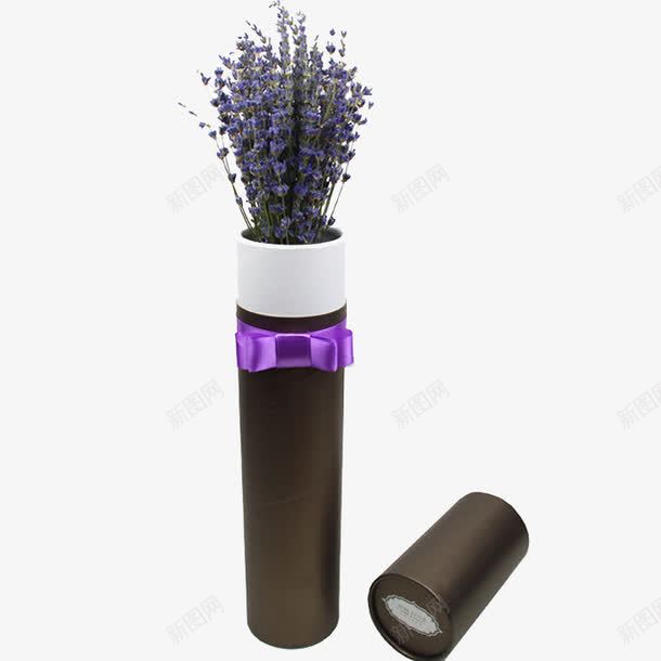 熏衣草干花礼物png免抠素材_新图网 https://ixintu.com 叶子花草 干花花束 植物干花 熏衣草风干花礼物 生物世界 风干花朵