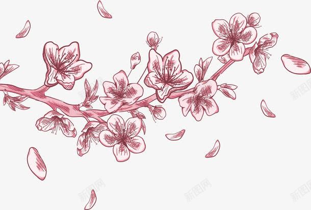 手绘飞舞的花瓣png免抠素材_新图网 https://ixintu.com 三生三世 桃花飞舞 樱花花瓣 浪漫花瓣 矢量素材 花飘落
