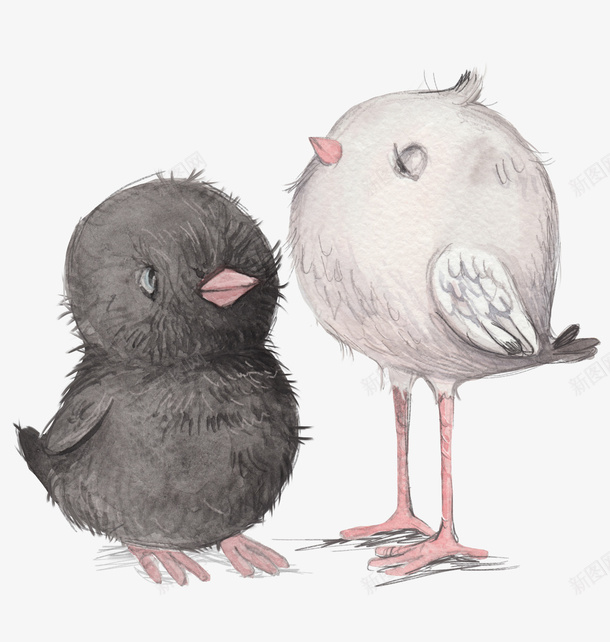 com 动物可爱 卡通动物 小清新海报设计 小鸟 手绘动物头像 萌萌哒的
