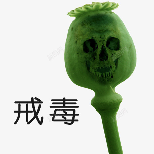 戒毒毒品卡通图psd免抠素材_新图网 https://ixintu.com 上瘾毒品 吸毒卡通图 吸毒者 戒毒 戒毒矢量图 珍爱生命 瘾君子