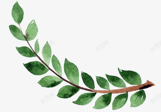 茂盛的树枝卡通插画png免抠素材_新图网 https://ixintu.com 园艺 树叶 树木 绿色 自然 茂盛 茂盛的树枝卡通插画