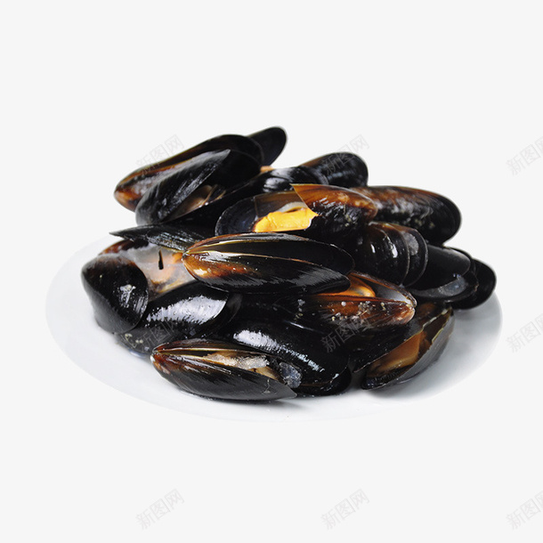 海鲜淡菜青口贝png免抠素材_新图网 https://ixintu.com 产品实物 海鲜淡菜青口贝 蓝口贝 鲜活贝类
