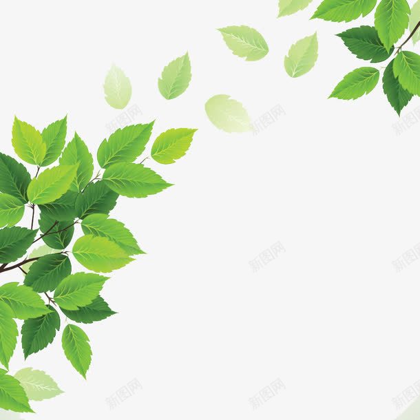 树叶png免抠素材_新图网 https://ixintu.com 四季常绿 常春藤 树叶 植物 绿叶 绿色