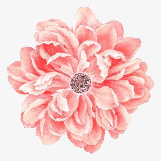 粉色花朵png免抠素材_新图网 https://ixintu.com 粉色 粉花 花心 花色