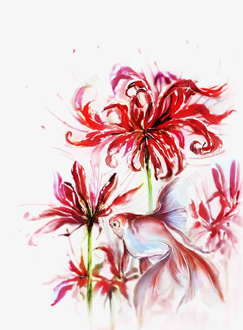 红色彼岸花png免抠素材_新图网 https://ixintu.com 彼岸花 彼岸花花海 植物 红色 花卉
