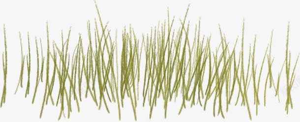 草丛片png免抠素材_新图网 https://ixintu.com 乡间小草 小草 杂草 绿草 野草