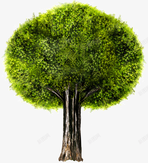 一棵茂盛大树png免抠素材_新图网 https://ixintu.com 一棵 大树 枝繁叶茂 树木 茂密 茂盛