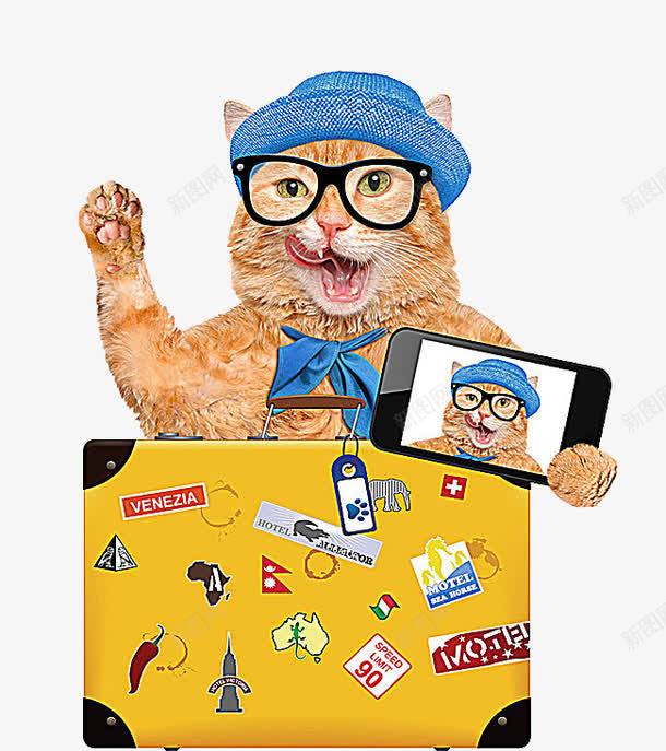 旅游拍照的小猫png免抠素材_新图网 https://ixintu.com 动物世界 动物摄影 宠物 小猫 手机 旅游拍照的小猫 旅行箱 猫咪 陆地动物