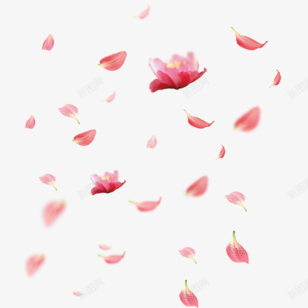 爱在情人节卡通花瓣装饰psd免抠素材_新图网 https://ixintu.com 大图免 大图免下载 爱在情人节卡通花瓣装饰下载 爱心 礼品 礼物 装饰品 透明底色