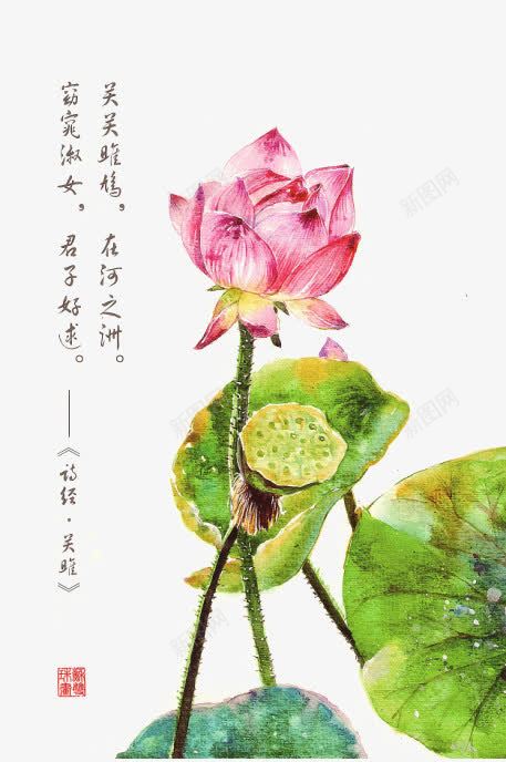诗经花朵插画配图png免抠素材_新图网 https://ixintu.com 卡通 卡通插画 古风 唯美 手绘 花卉 诗歌 诗经 诗词