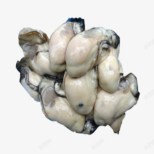 野生海蛎png免抠素材_新图网 https://ixintu.com 海产品 海蛎 进口水产 野生海蛎